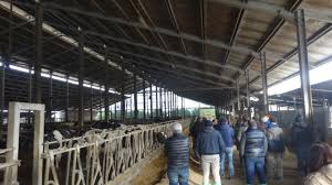 Parte un corso per formare 15 esperti casari