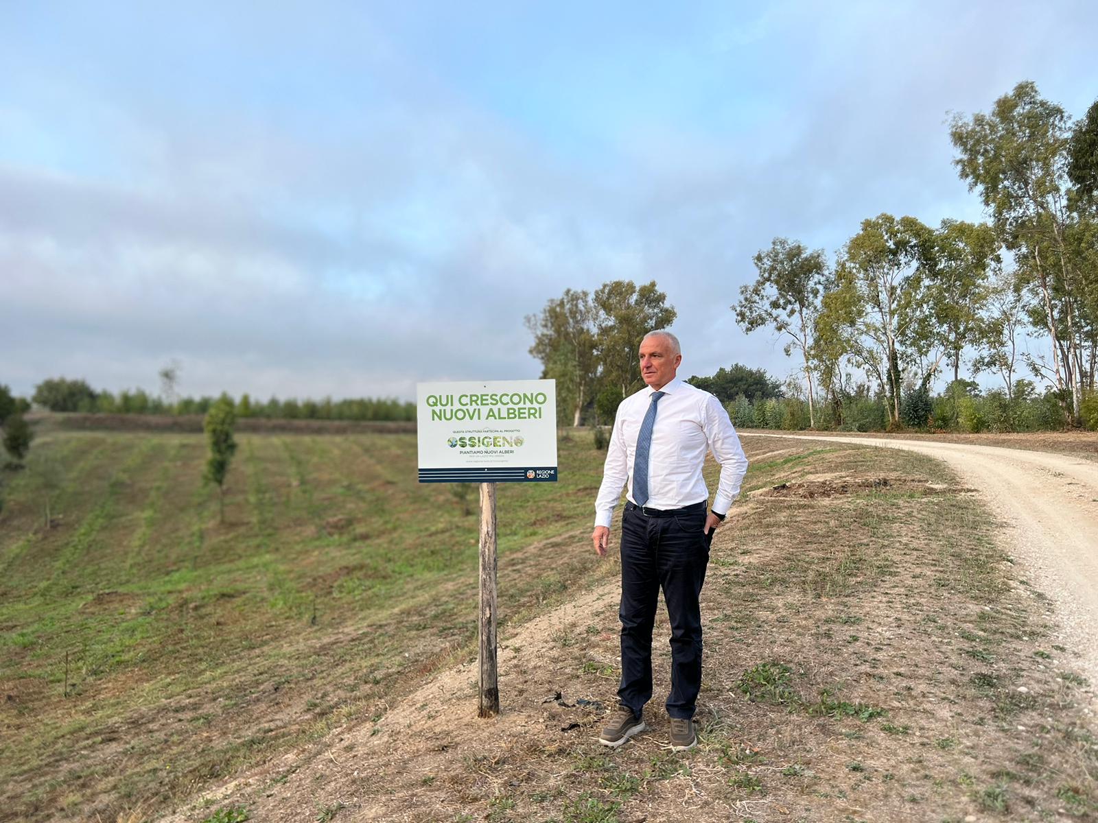 Pi Alberi Nel Lazio Per Un aria Pi Pulita Il Contributo Del CREA Al 