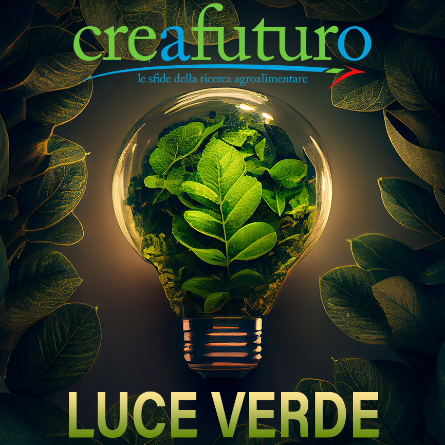 Il 6° numero di CREAFuturo