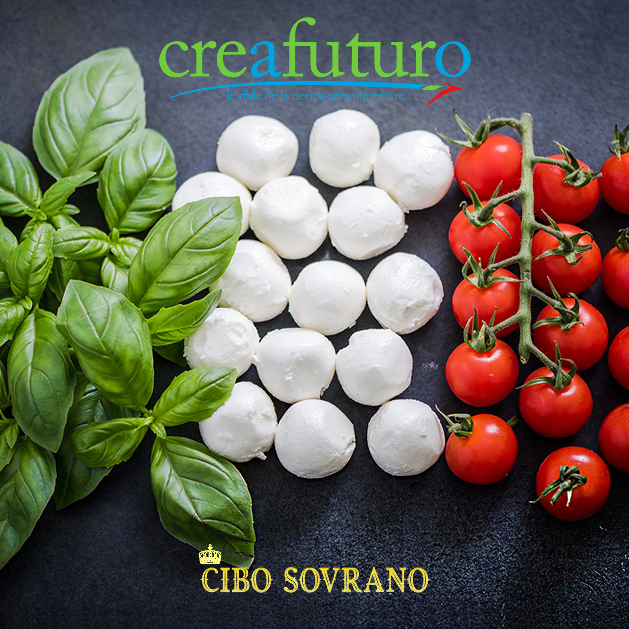 Il 8° numero di CREAFuturo