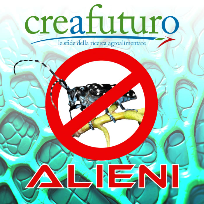 Il 9° numero di CREAFuturo