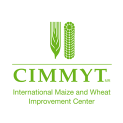 International Maize and Wheat Improvement Center CIMMYT - Messico