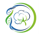 Cotton Breeding, Seed Production and Cultivation Agrotechnologies Research Institute (CBSPARI) - Uzbekistan
