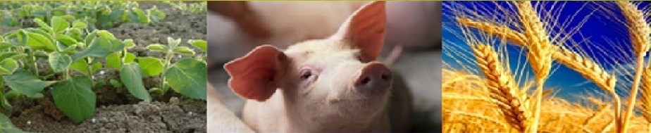 V bando Contratti di filiera agroalimentare - PNRR