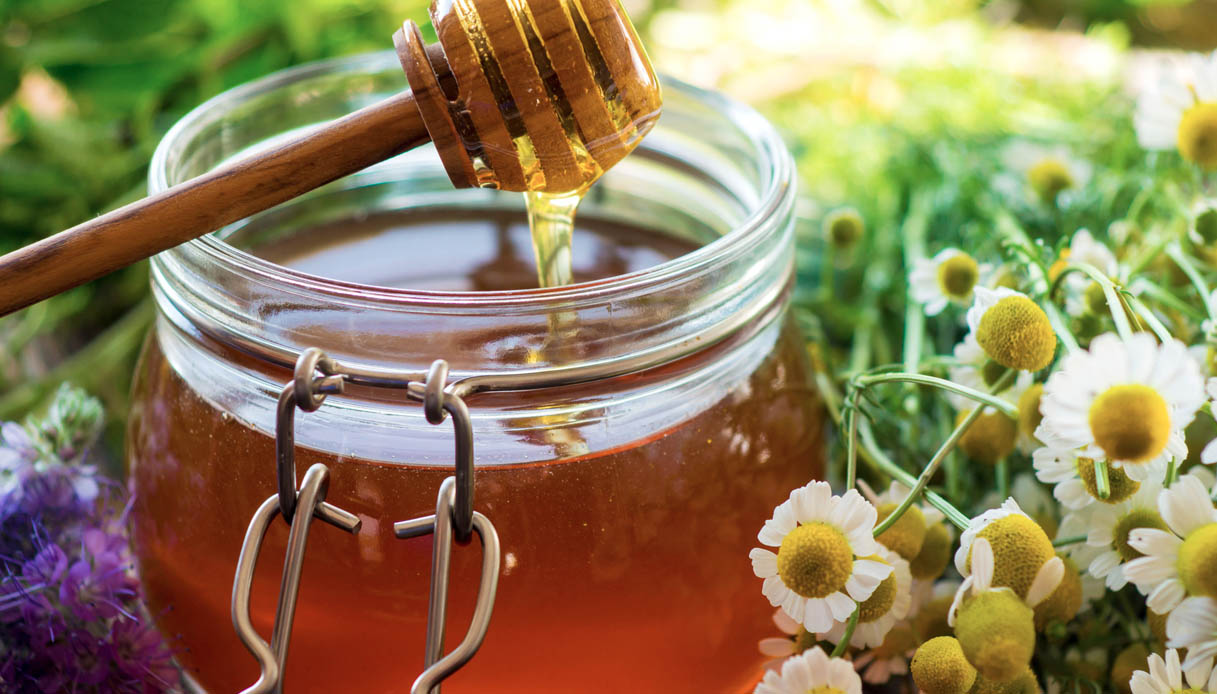 Il CREA su Rai Tre: il miele, un vero toccasana per la nostra salute