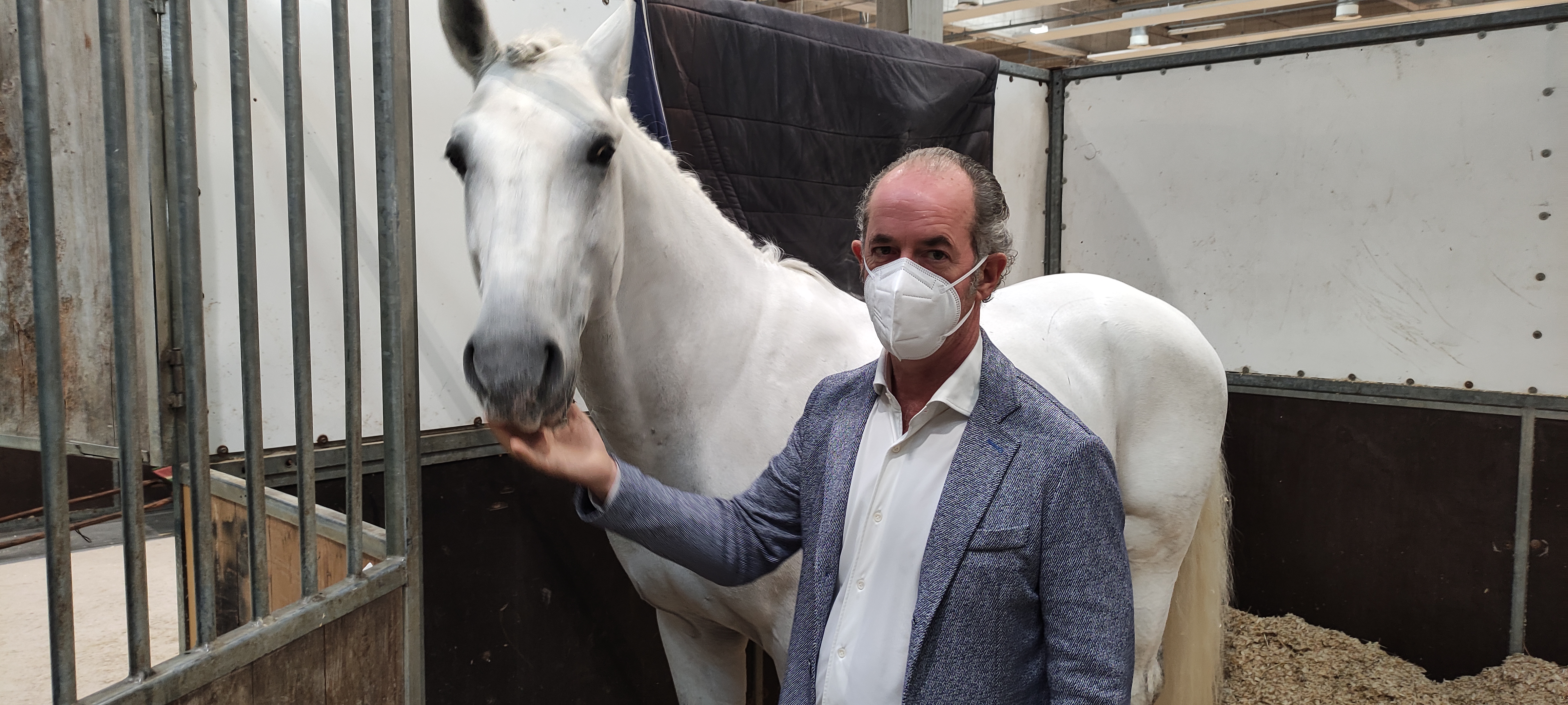 Fieracavalli: anche il Governatore del Veneto Luca Zaia con i cavalli Lipizzani del CREA