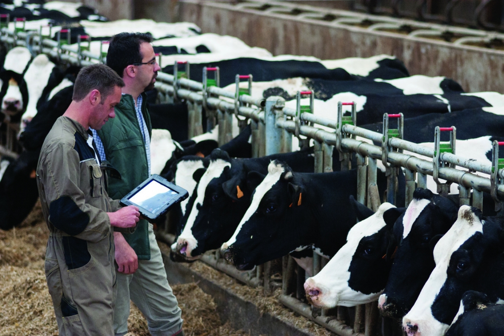 L'impegno del CREA per lo sviluppo della zootecnia di precisione