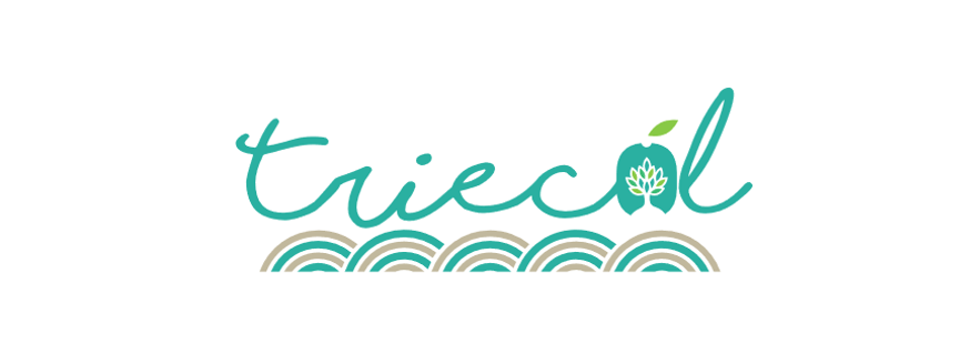 Sostenibile, competitiva e innovativa: ecco la nuova olivicoltura secondo TRIECOL