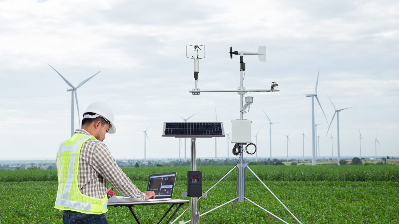 Giornata della Meteorologia: alla scoperta dell’agrometeorologia per contrastare gli effetti del cambiamento climatico sulle produzioni agricole
