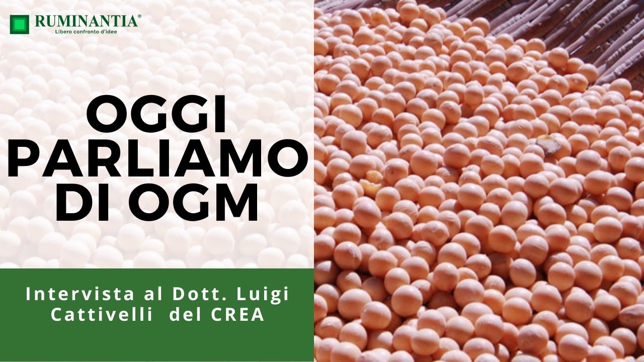 Intervista sugli OGM al direttore del CREA Genomica e Bioinformatica, Luigi Cattivelli