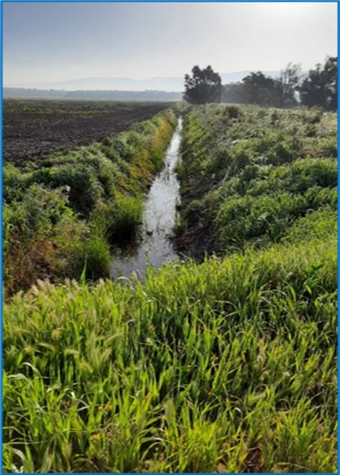 I cambiamenti climatici e le strategie per la mitigazione degli effetti sui diversi territori: il CREA partecipa a MACFRUT 2022 con il progetto PON Water4AgriFood