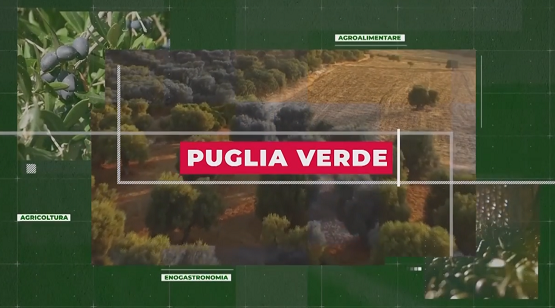 Il CREA Agricoltura e Ambiente su Puglia Verde. Agricoltura e Cambiamenti Climatici: la necessità di un approccio scientifico