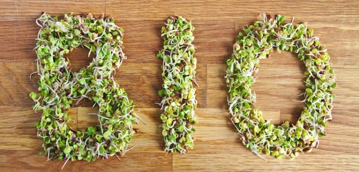 Al via il progetto All Organic, per lo sviluppo di un’agricoltura biologica resiliente e autonoma