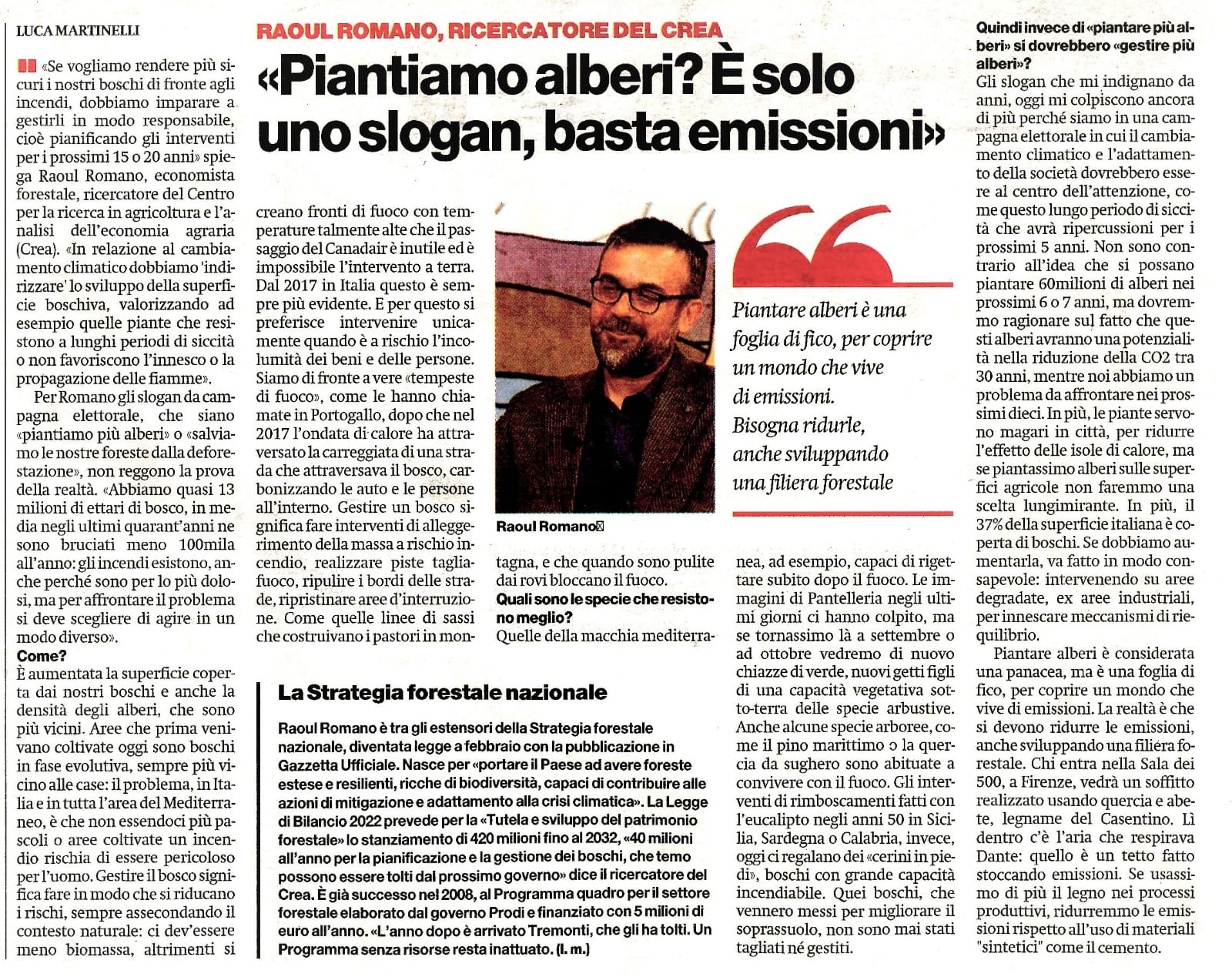 Piantare alberi è solo uno slogan. Per ridurre le emissioni è necessario lo sviluppo di una filiera forestale