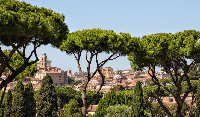 LA CURA DEGLI ALBERI DI ROMA, CONVEGNO DI FORMAZIONE E INFORMAZIONE ALLA CITTADINANZA