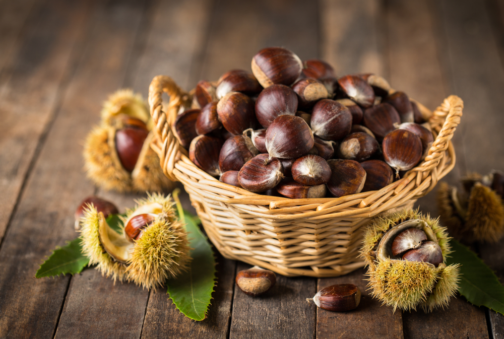 Le castagne: tra leggende e verità