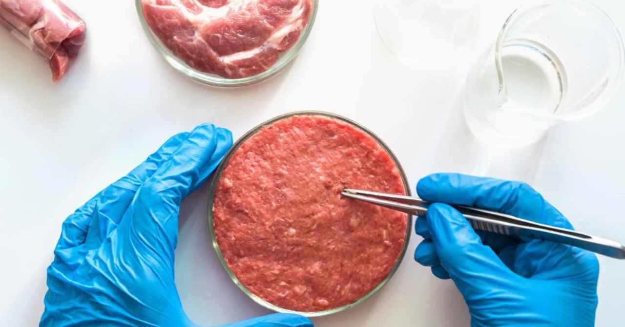 Il futuro della carne, naturale o artificiale: pro e contro