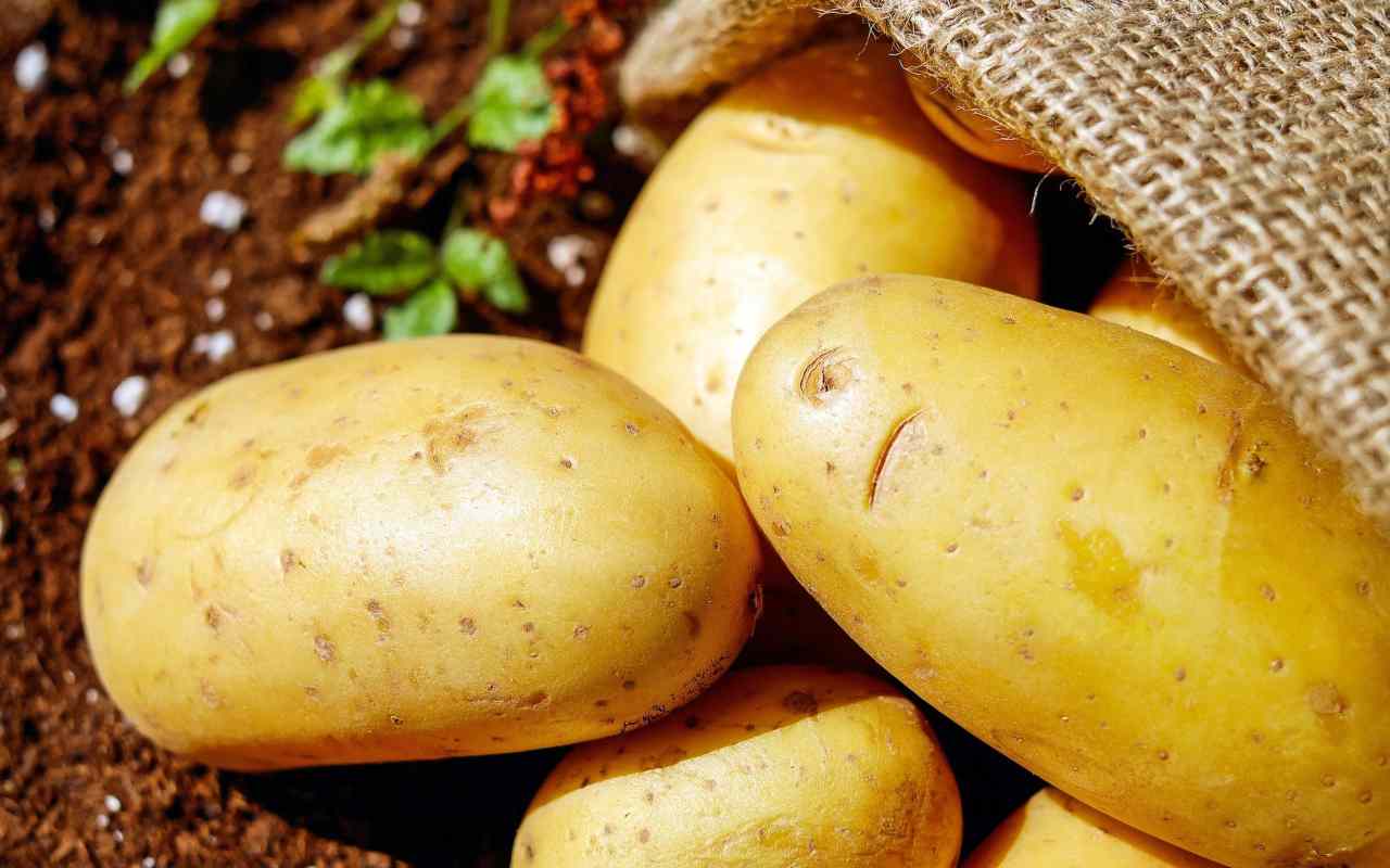 Le patate, un toccasana energetico per lo stomaco