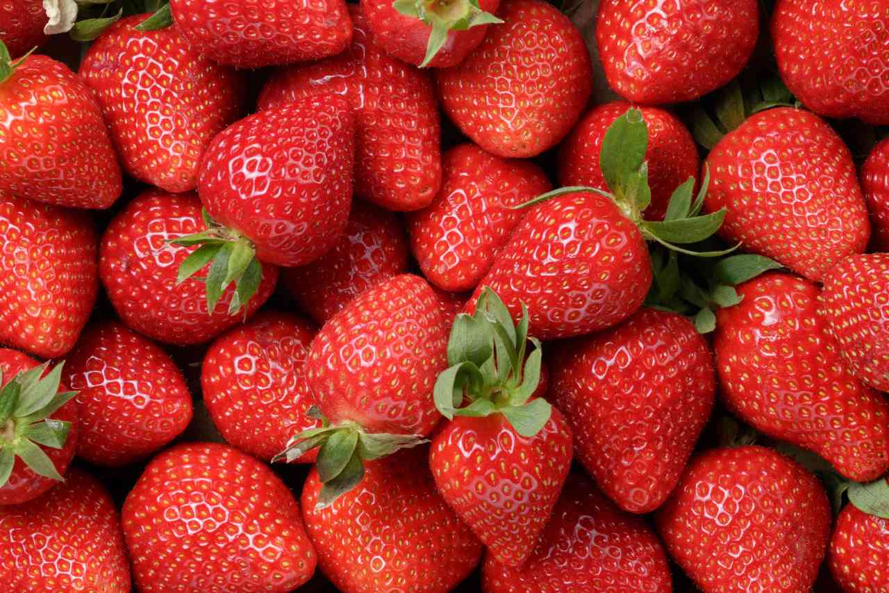 I benefici della fragola, frutto della primavera