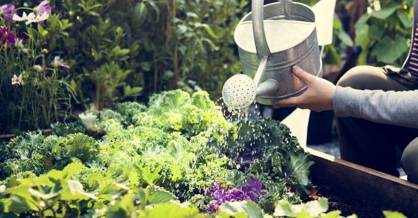 Garden Therapy: l'orto domestico fa bene alla salute del corpo, della mente e dell'ambiente