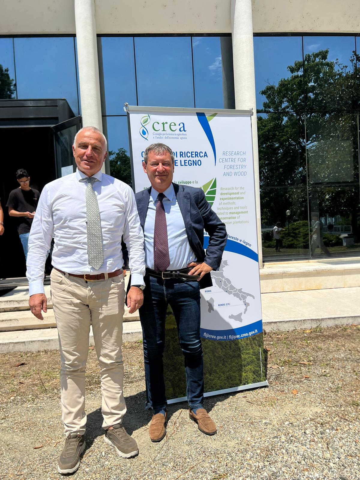 Pioppicoltura resiliente ai cambiamenti climatici: con la coltivazione del pioppo più sequestro di CO2 e minore utilizzo di fitofarmaci