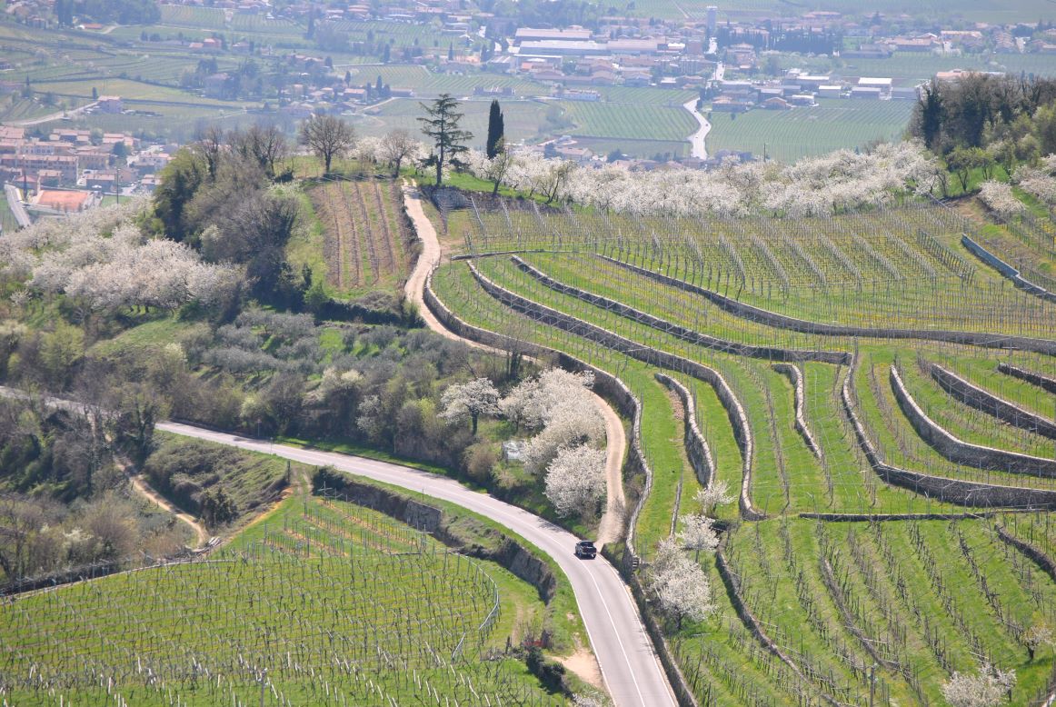 Mercato fondiario 2022: continua a crescere il valore della terra