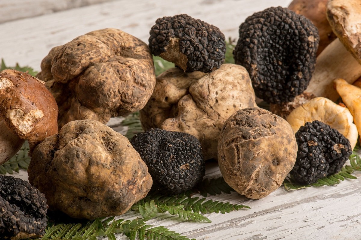 Tutti i benefici del tartufo