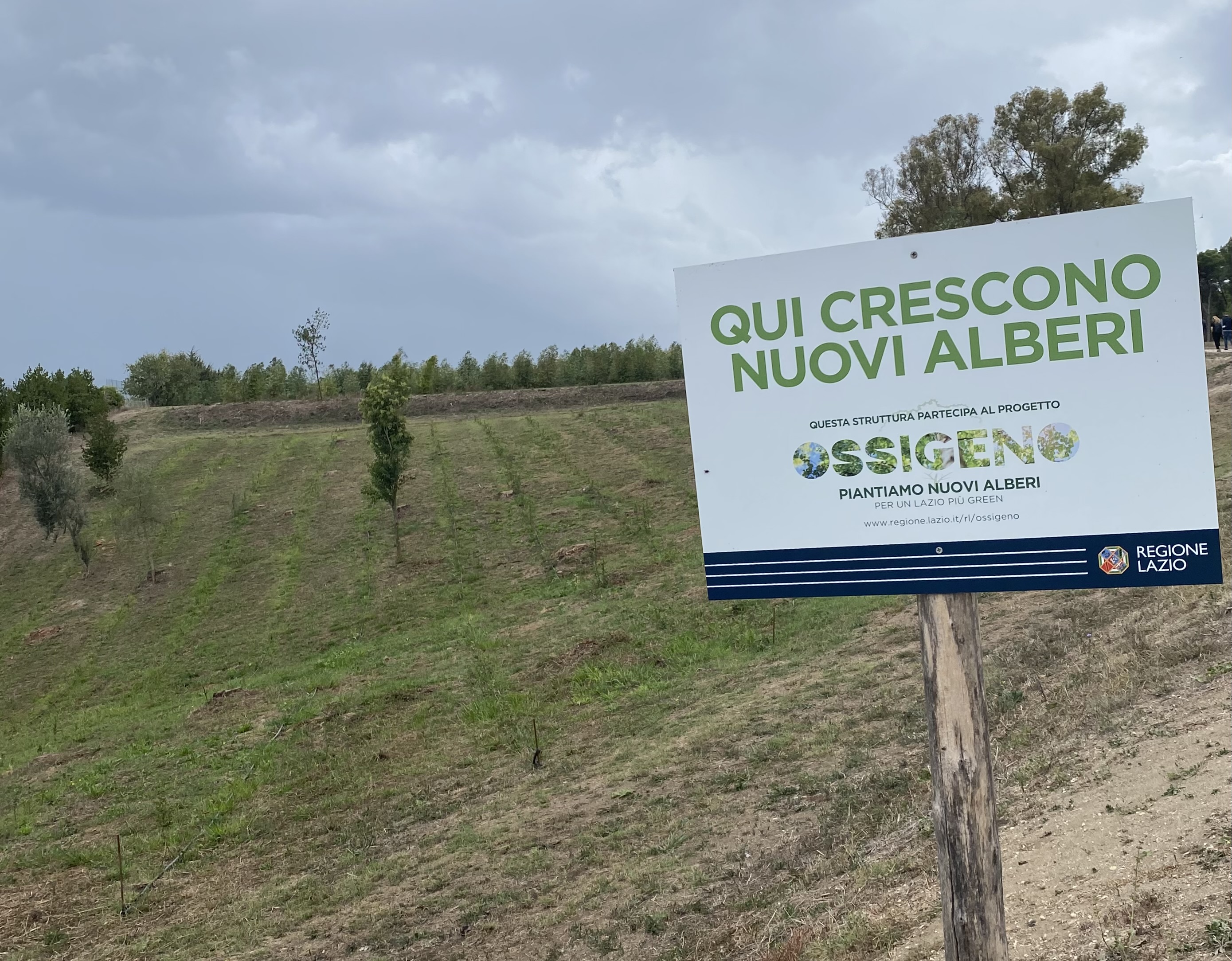 Ossigeno: il progetto targato CREA-Regione Lazio per mitigare gli effetti dei cambiamenti climatici e migliorare la qualità dell’aria