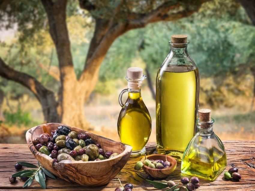 Olio d’oliva: collezione CREA a breve nella Banca internazionale COI del germoplasma di olivo