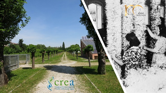 Seta: 100 anni fa nasceva a Padova la sede del CREA, punto di riferimento nazionale per la ricerca in gelsibachicoltura