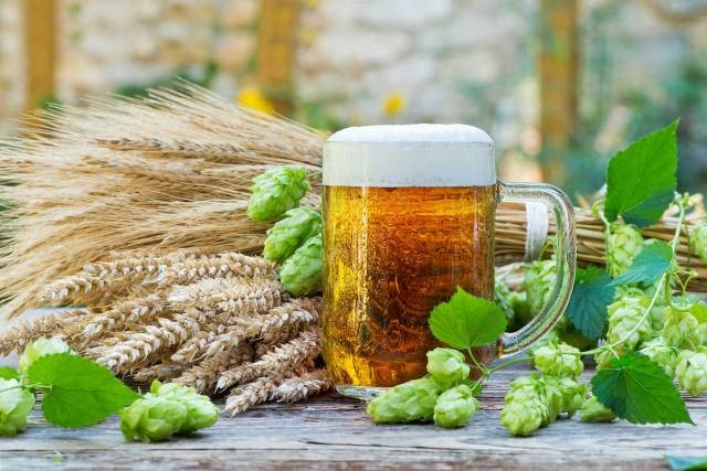 La multifunzionalità circolare della birra