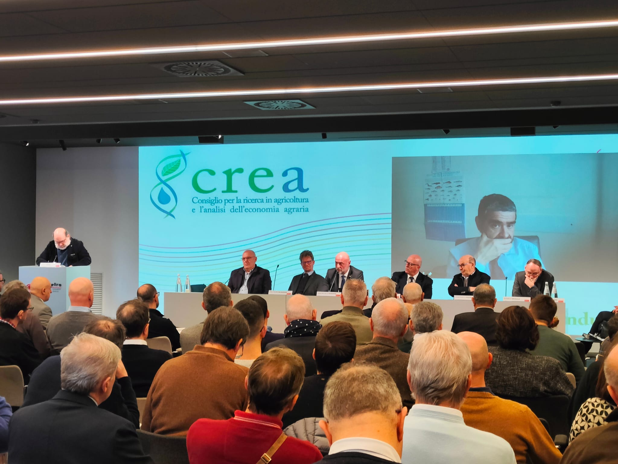 GIORNATA DEL MAIS CREA 2024: per il comparto, ancora in grande difficoltà, possibile rilancio con l’agricoltura rigenerativa