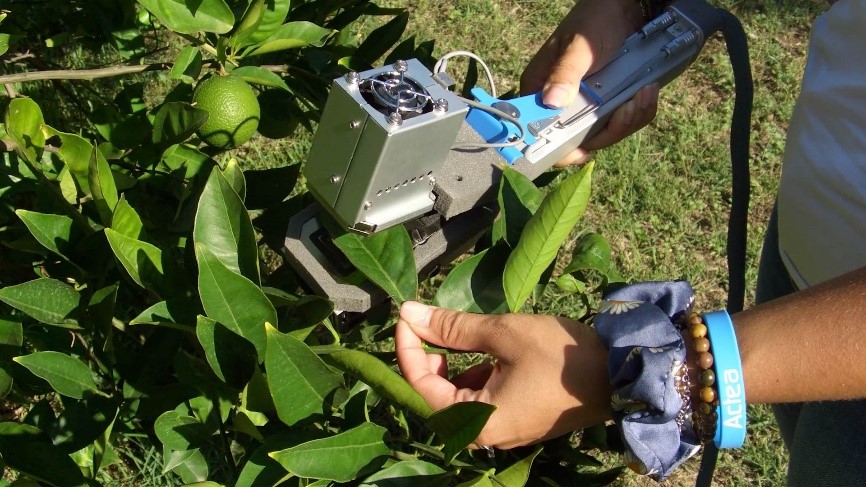 I Dispositivi di Ricerca di Lungo Periodo del progetto PERILBIO