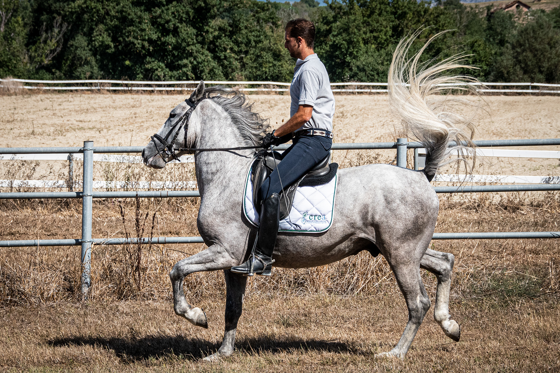 UNESCO New Generation Sapere Fare Sapere: il capitale immateriale