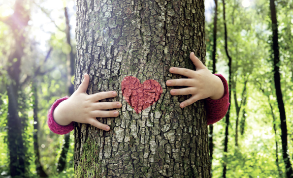 Alberi e città: prove di resilienza