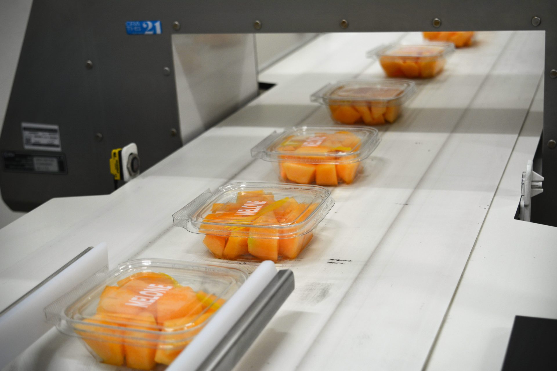 Dalla ricerca CREA imballaggi funzionali per la frutta di IV gamma