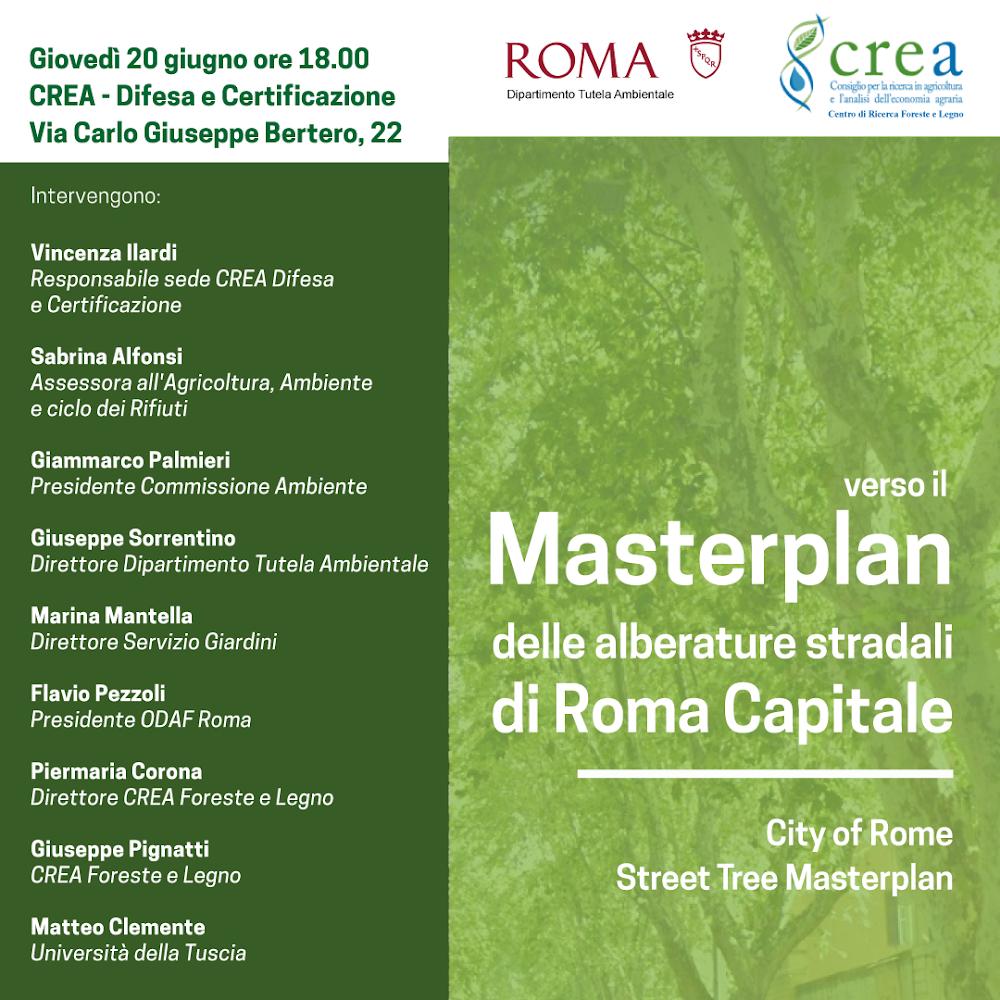 Alberature stradali: continua il percorso di avvicinamento al Masterplan