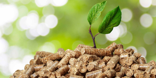 Parte il progetto per valorizzare le tecnologie bio-based, centrali per la sostenibilità ambientale ed economica