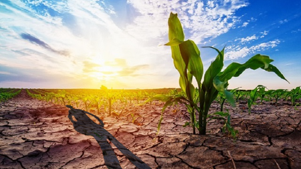 Siccità il clima che cambia.