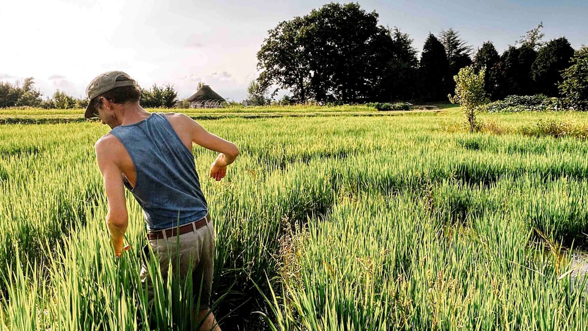Cibi e paesaggi rari: il viaggio in bicicletta alla scoperta dell’agricoltura italiana