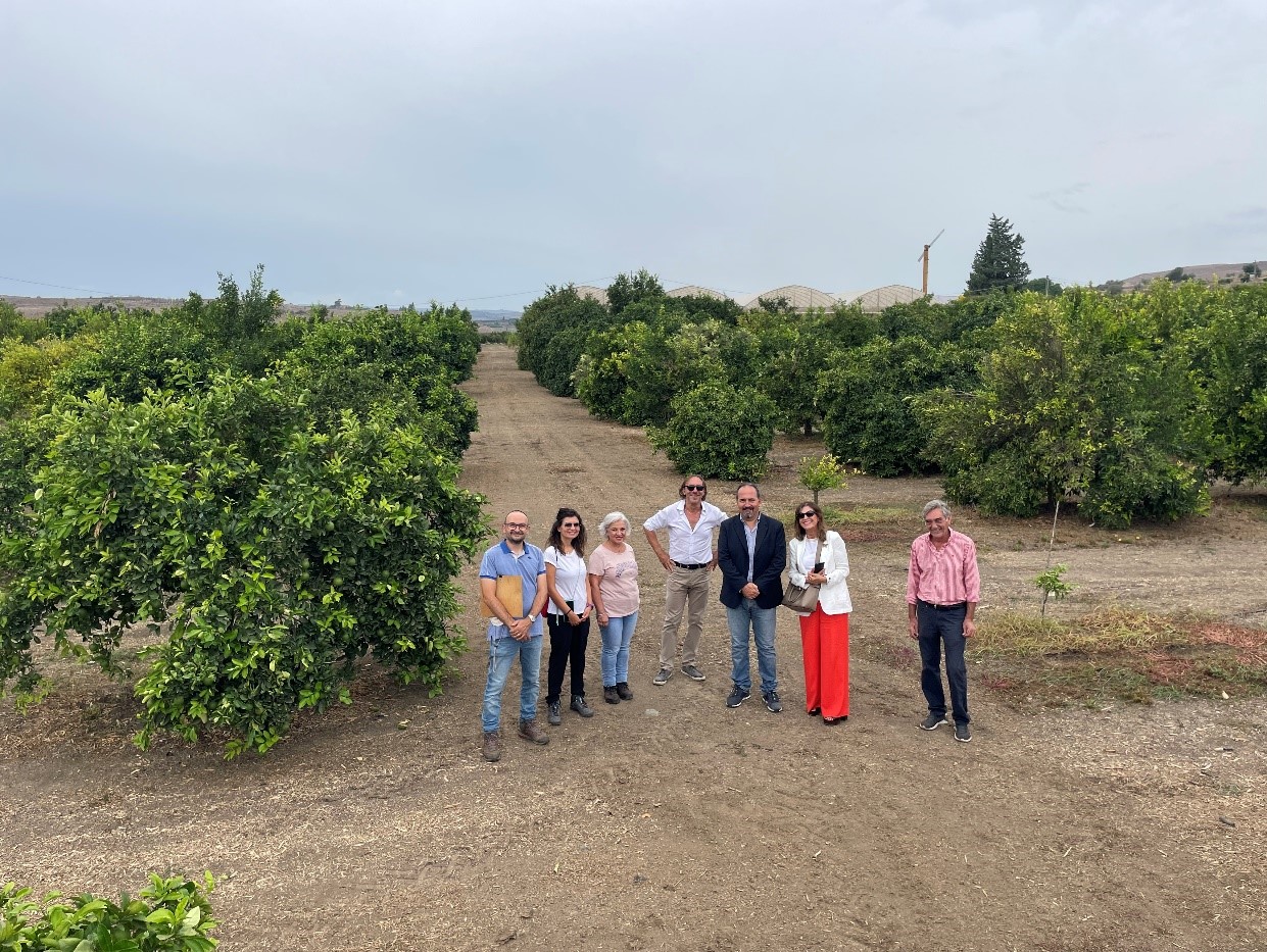 Agrumi, Ricerca e Innovazione: Il Presidente Rocchi e la Direttrice Generale Proietti in visita all'Azienda Agricola di Palazzelli