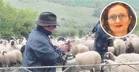 I giovani scelgono la pastorizia gli antichi mestieri sono la modernità