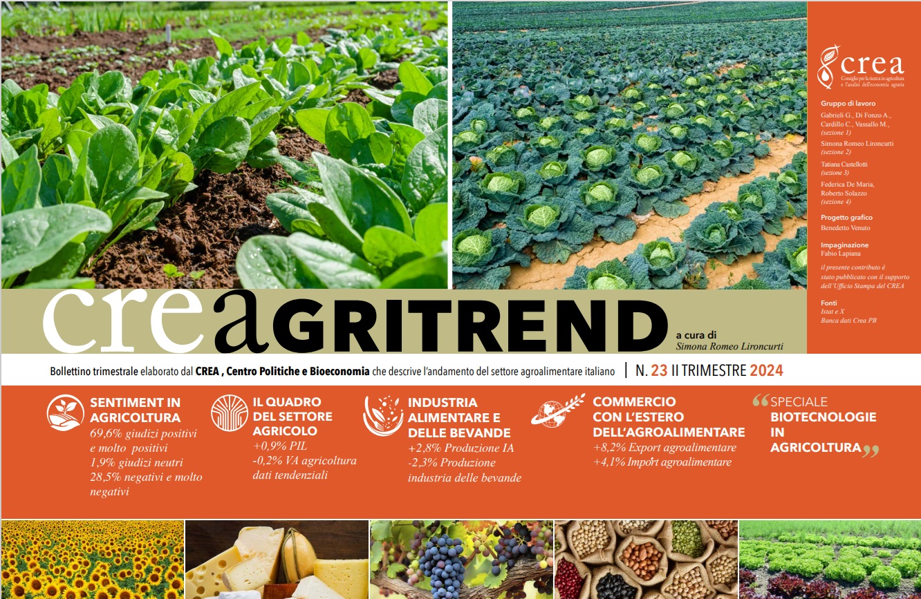 Agroalimentare, II trimestre 2024: buon andamento dell'export (+8,2%)