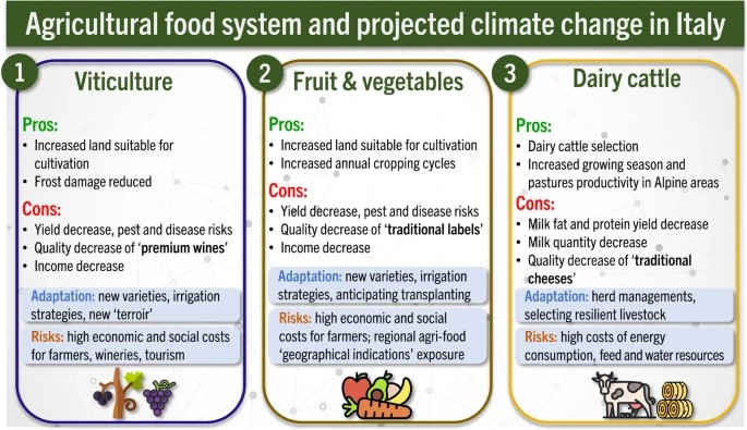 Cambiamento climatico: pubblicato sulla rivista internazionale “Agricultural and Food Economics” studio CREA dedicato all’impatto su resa e reddito. 
