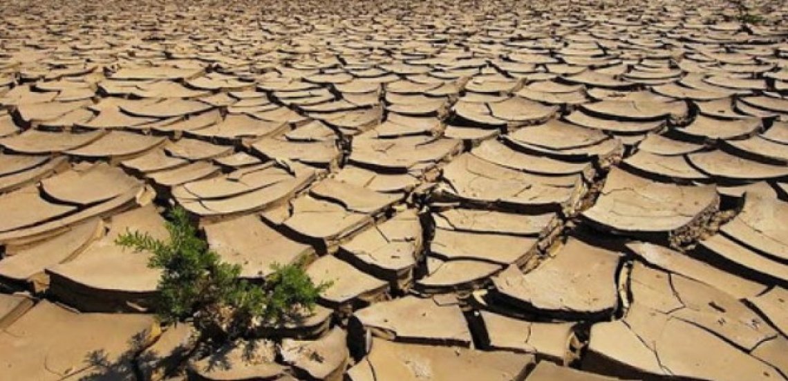 Erosione e mancanza di sostanza organica, le cause di siccità e aridità del suolo