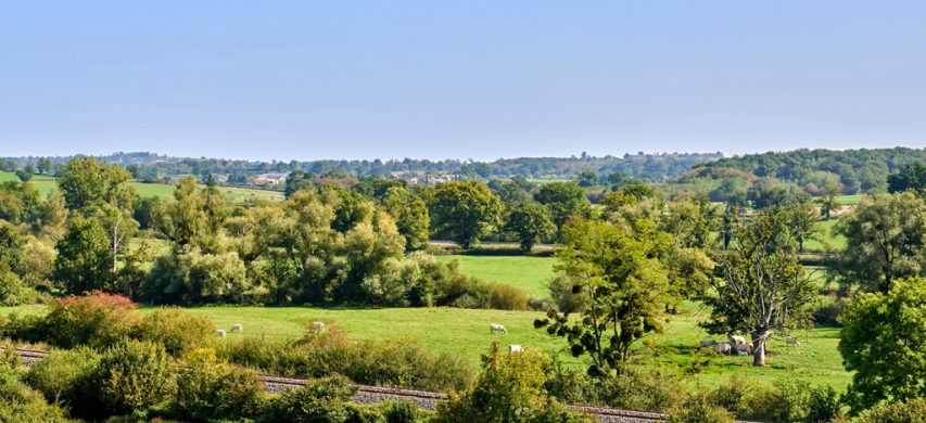 Mercato Fondiario, in continua crescita la domanda dei terreni in affitto