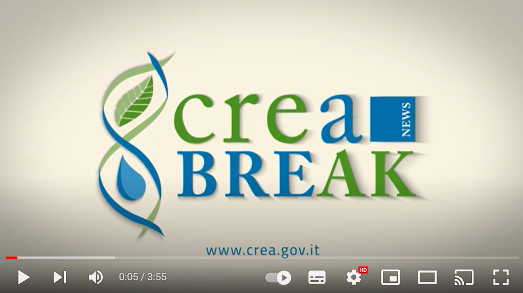 On line l'ultimo #CREABreak! Vitivinicoltura: inaugurata la nuova struttura CREA a Turi (Bari). Un nuovo slancio per la ricerca di vite e vino al Sud