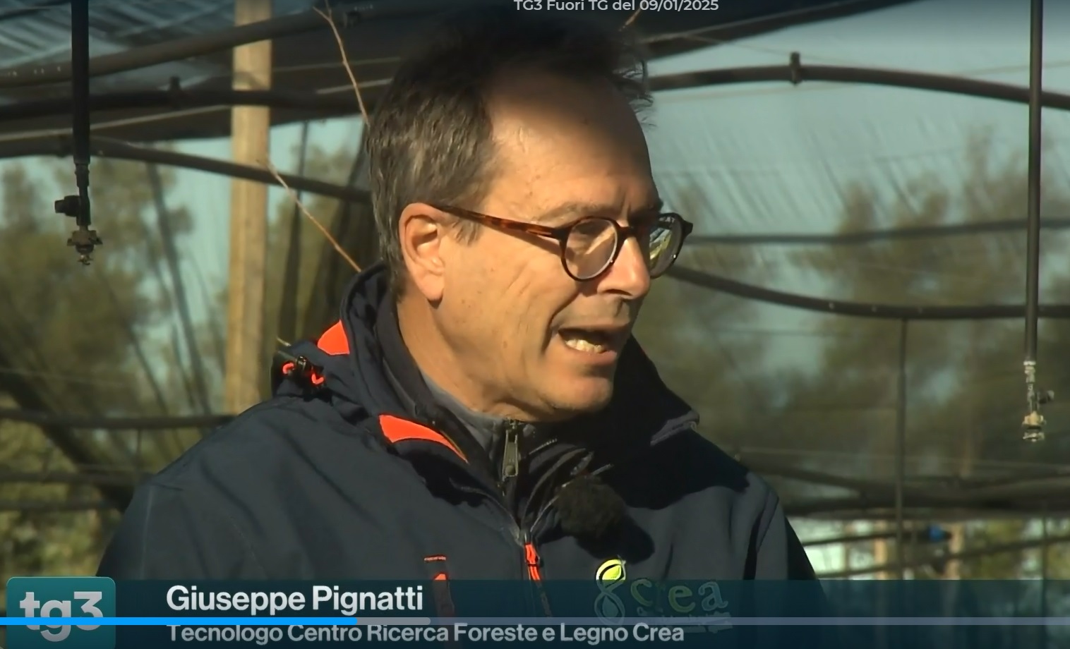 Il CREA a FuoriTg: intervista ai nostri esperti del Centro Foreste e Legno