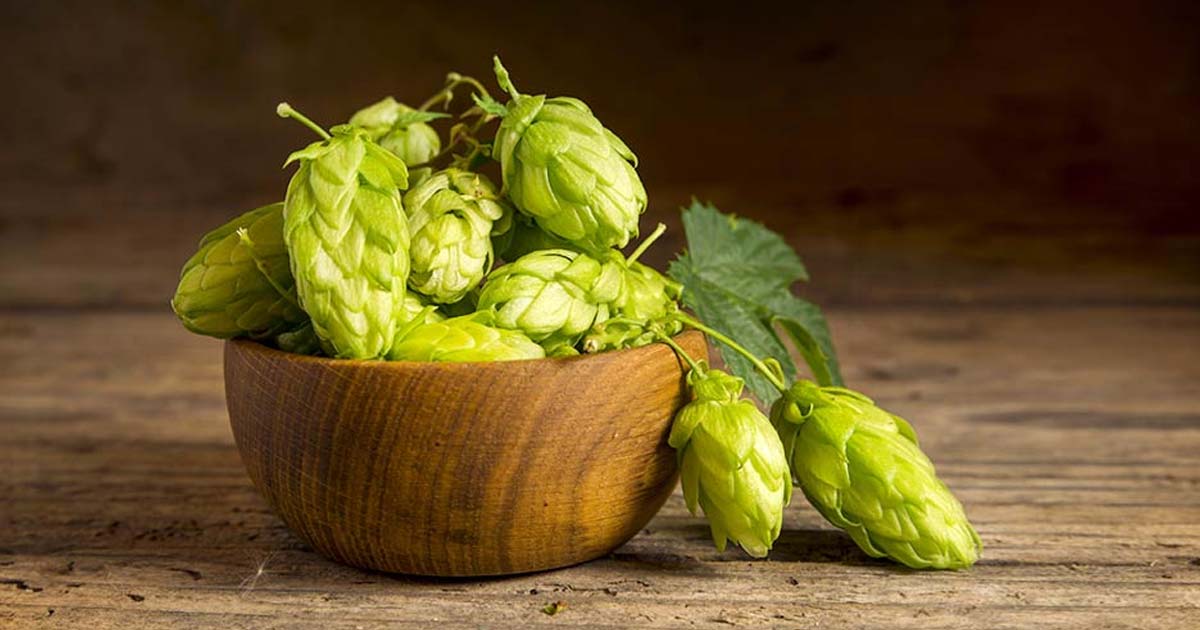 I GRANDI BIRRIFICI A SOSTEGNO DELLA RICERCA E DEL MADE IN ITALY BRASSICOLO: LA VISIONE DI CARLSBERG ITALIA