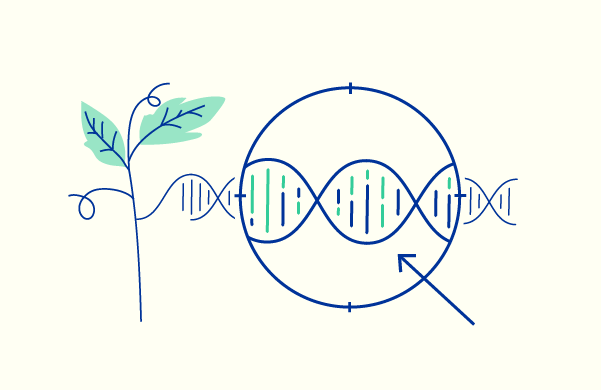 Negoziato sulle TEA approvato dal Consiglio Ue, il Presidente Rocchi: “Il CREA in prima linea nella ricerca per la sostenibilità economica e ambientale delle produzioni agroalimentari”